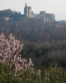 &copy;photos in Provence by Nathalie