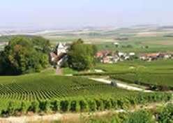 Walking tour in Champagne