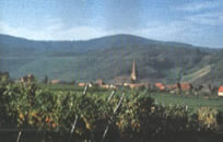 Walking tour in Alsace